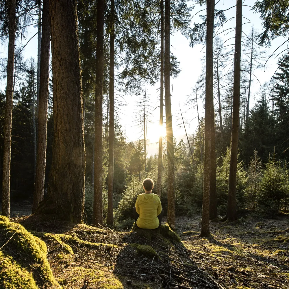 Person in a yellow jacket sitting quietly in the forest as the sun shines through the trees