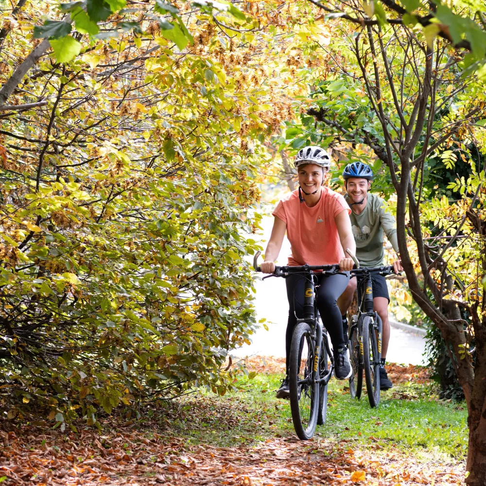 Bike ride through the autumn woods around the Alpenflora in Castelrotto