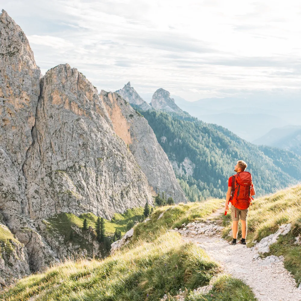 Wanderer mit rotem Rucksack auf einem Panoramaweg über den bewaldeten Tälern der Dolomiten