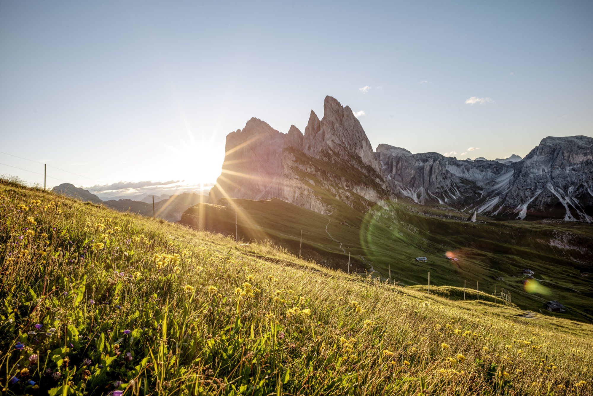 Sonnenaufgang hinter den Gipfeln der Dolomiten über einer blühenden Almwiese