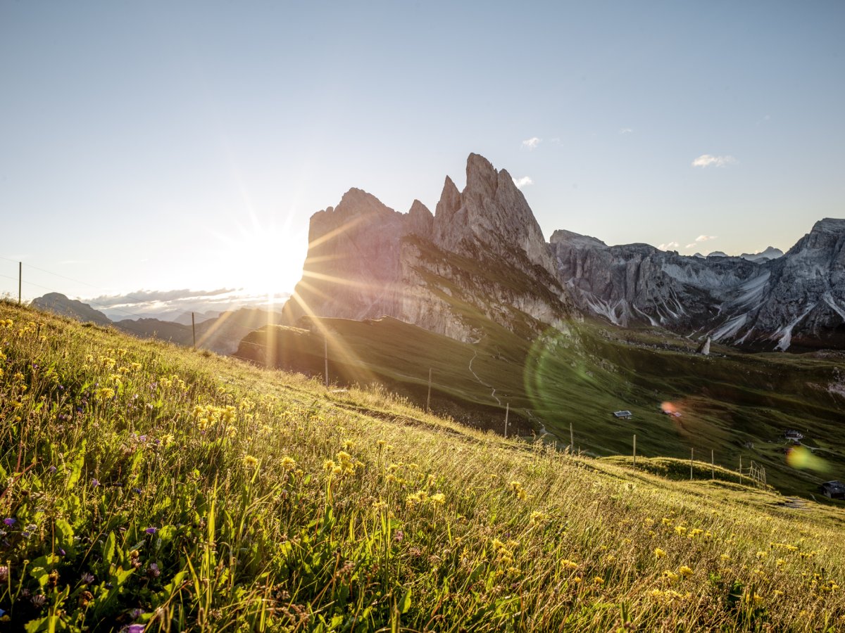 Alba sulle cime delle Dolomiti con prato di montagna fiorito sull'Alpe di Siusi