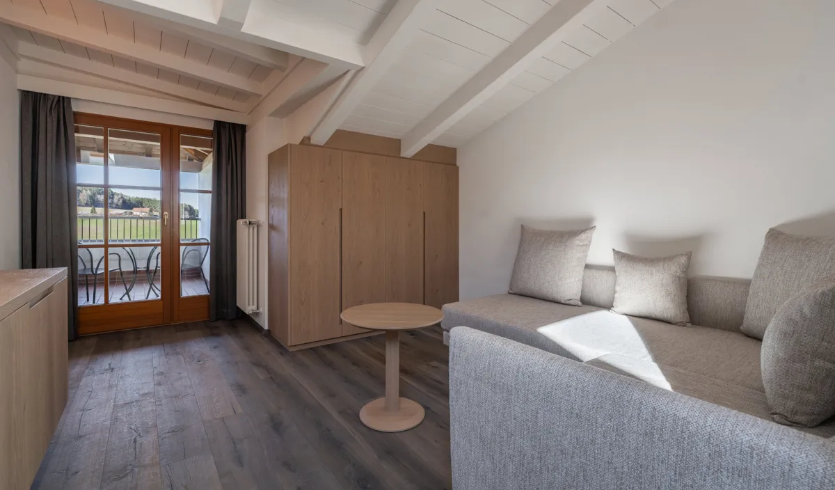 Soggiorno con divano, armadio e porta del balcone con vista sul paesaggio verde nell'Attico Suite.