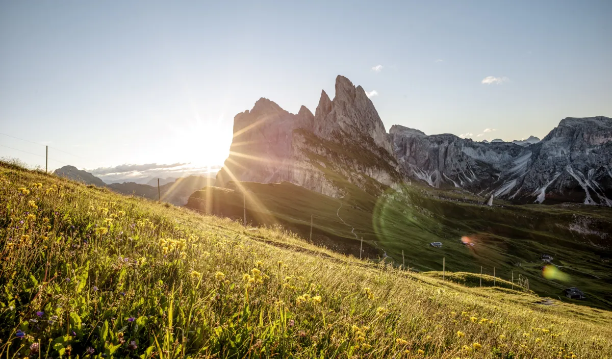 Sunrise over the Dolomites near Castelrotto with a meadow in the foreground close to the Alpenflora
