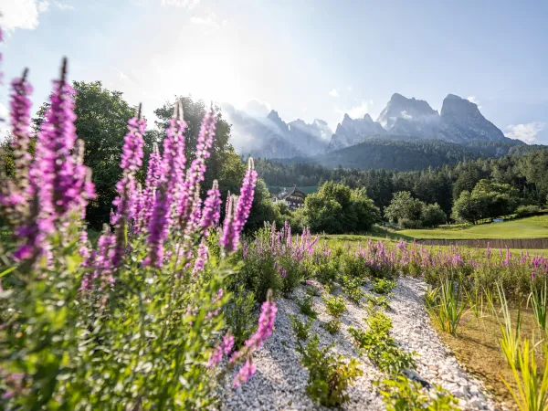 Wellnesshotel Alpenflora, Kastelruth, Seiser Alm, Dolomiten - Erlebnisse
