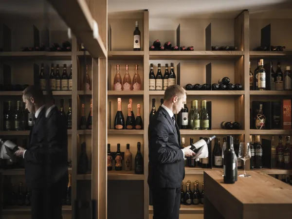 Sommelier selecting a bottle in the wine cellar of the Wellness Hotel Alpenflora