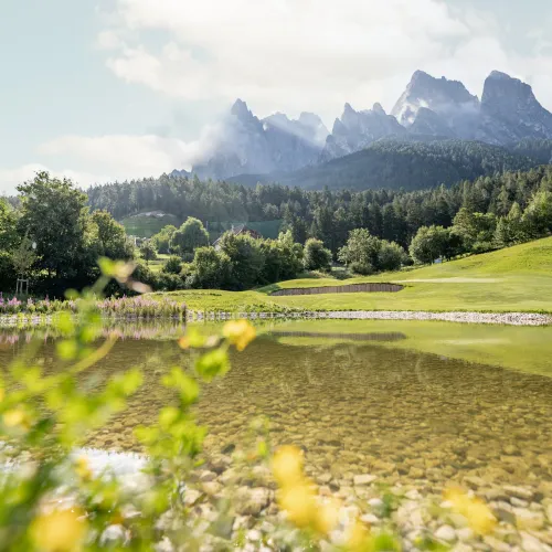 Wellnesshotel Alpenflora, Dolomiti, Castelrotto, Alto Adige Suditirolo - Impressioni