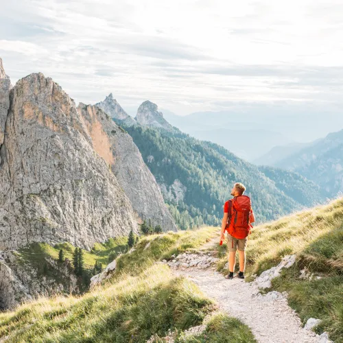 Wellness Hotel Alpenflora, Dolomites, Castelrotto, South Tyrol - Experiences